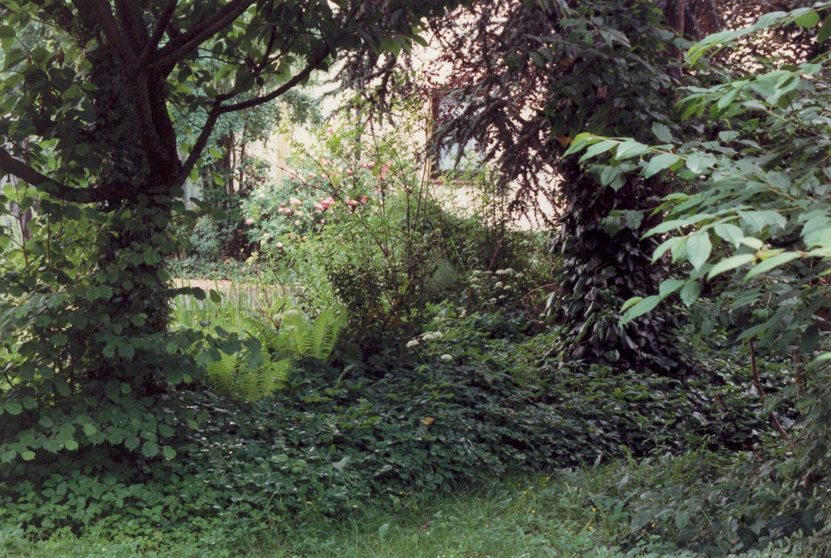 Ökogarten 1996